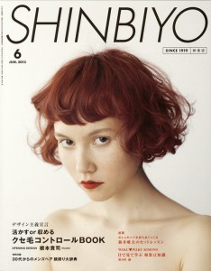 S2013.06SHINBIYO_cover
